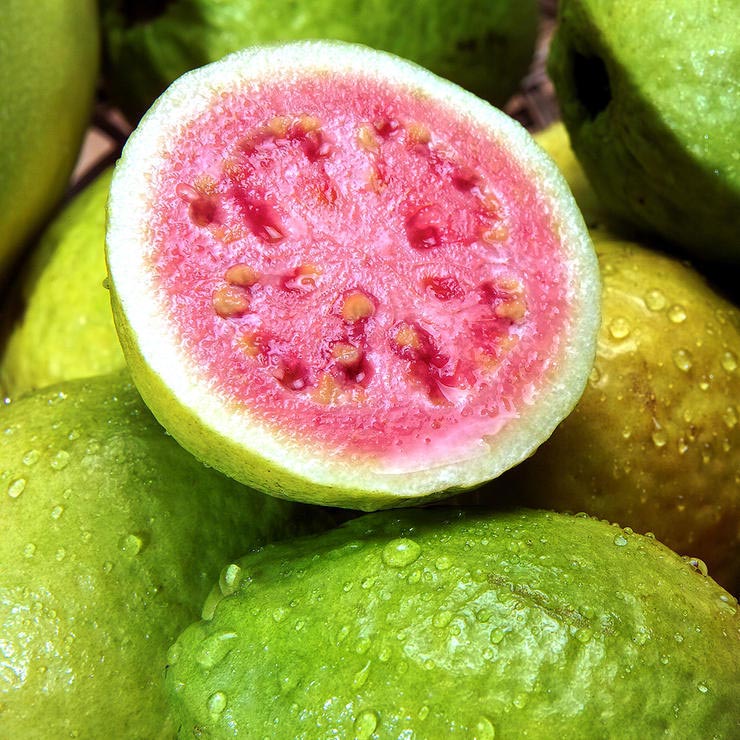 برای درمان آفتاب سوختگی چه بخوریم,guavas-گواوا
