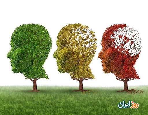 رژیم غذایی تقویت حافظه ، برای جلوگیری از آلزایمر