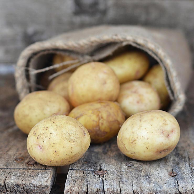 برای درمان آفتاب سوختگی چه بخوریم,potatoes-سیب زمینی