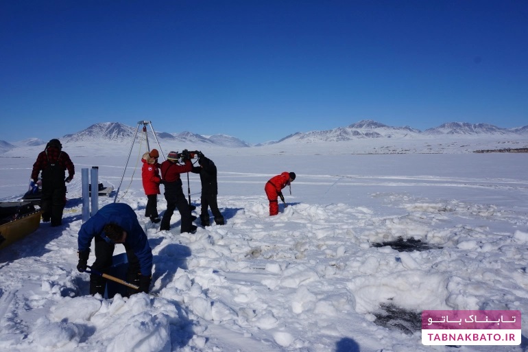 خطر انتشار ویروس های قطب شمال با میزبان های جدید در پی گرم شدن زمین
