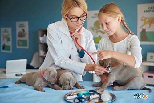 بیماری پاروویروس سگ علائم تشخیص و درمان